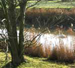 Royal Military Canal