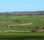 View from Bilsington Church towards Acorn Barn
