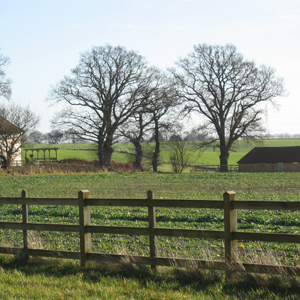 Towards Acorn Barn from the road